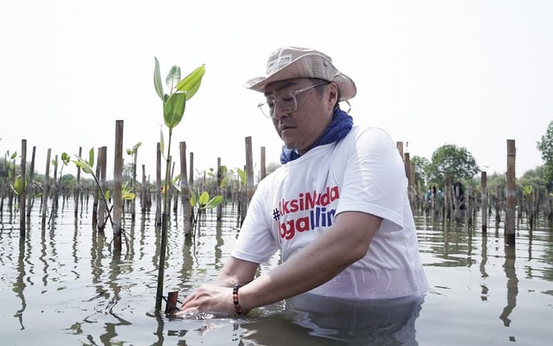 インドネシアにおけるマングローブの植樹活動